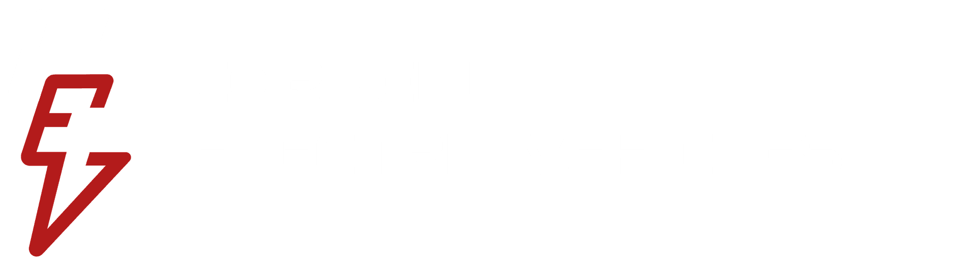 Cornell Electric Vehicles Project Team